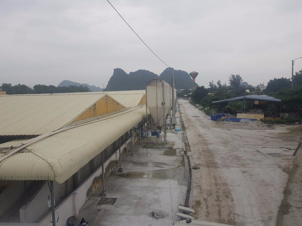 Một trang trại chăn nuôi khép kín, được thực hiện các quy trình phòng dịch bệnh nghiêm ngặt tại Hải Phòng. Ảnh: Đinh Mười. Một trang trại chăn nuôi khép kín, được thực hiện các quy trình phòng dịch bệnh nghiêm ngặt tại Hải Phòng. Ảnh: Đinh Mười.