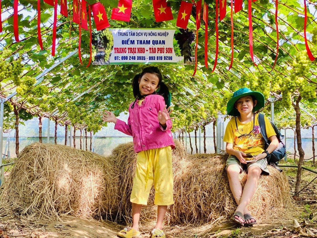 Nhiều nhà vườn ở Khánh Hòa đã biết kết hợp khai thác hiệu quả hoạt động du lịch nông nghiệp. Ảnh: Nguyễn Cơ. Nhiều nhà vườn ở Khánh Hòa đã biết kết hợp khai thác hiệu quả hoạt động du lịch nông nghiệp. Ảnh: Nguyễn Cơ.