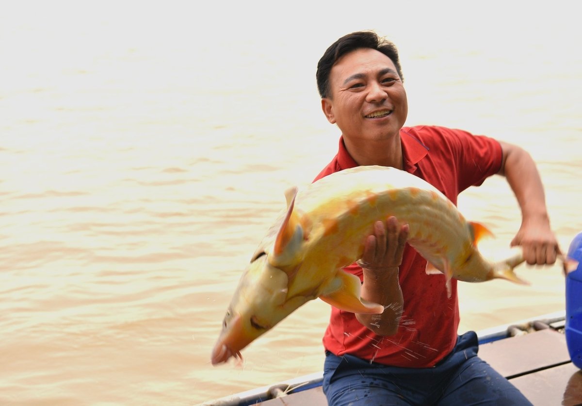 Anh Nguyễn Văn Tình bên con cá tầm nuôi trên sông Hồng, Hà Nội. Ảnh: Dương Đình Tường. Anh Nguyễn Văn Tình bên con cá tầm nuôi trên sông Hồng, Hà Nội. Ảnh: Dương Đình Tường.