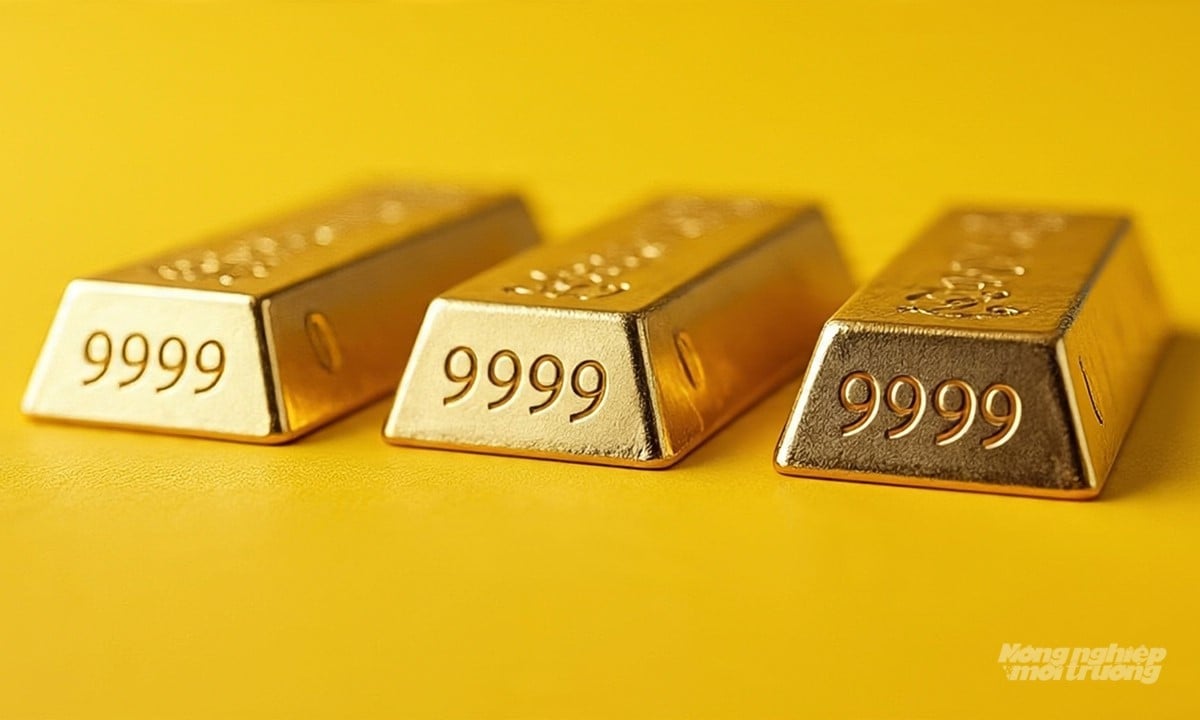 Dự báo giá vàng 9999 24k 18K SJC DOJI PNJ ngày 14/7 tăng hay giảm? Dự báo giá vàng 9999 24k 18K SJC DOJI PNJ ngày 14/7 tăng hay giảm?