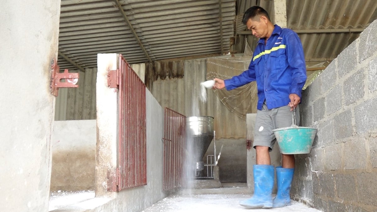 Trang trại của ông Đỗ Văn Lê được áp dụng kỹ thuật chăn nuôi không tiếp xúc với hệ thống lưới chắn côn trùng, động vật hoang dã và đường vôi. Ảnh: Quang Linh. Trang trại của ông Đỗ Văn Lê được áp dụng kỹ thuật chăn nuôi không tiếp xúc với hệ thống lưới chắn côn trùng, động vật hoang dã và đường vôi. Ảnh: Quang Linh.