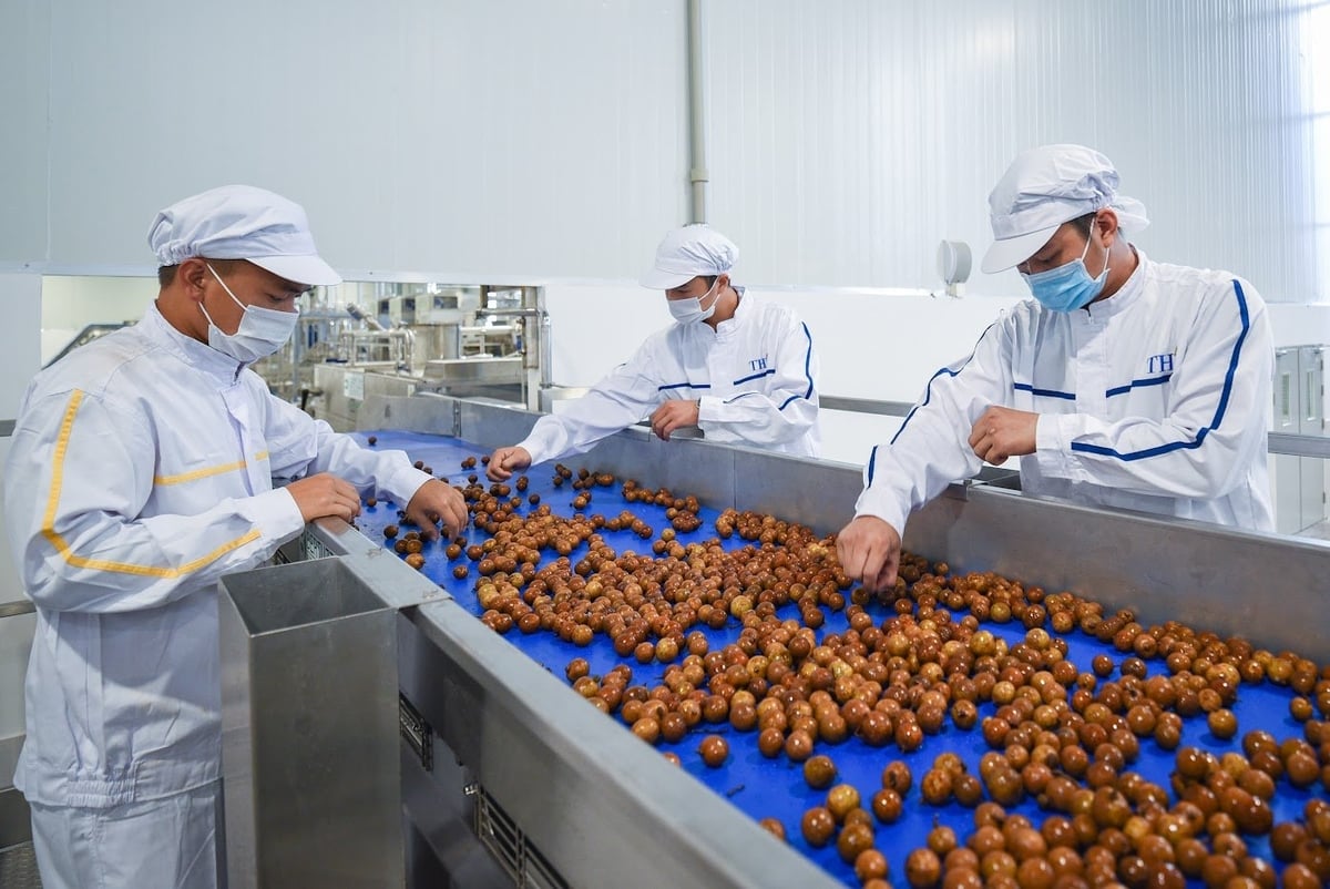 Ngành hàng trái cây Việt Nam cần gắn chế biến sâu với tận dụng phụ phẩm trong quá trình chế biến để thúc đẩy sản xuất nông nghiệp hữu cơ, tuần hoàn. Ảnh: Đức Bình. Ngành hàng trái cây Việt Nam cần gắn chế biến sâu với tận dụng phụ phẩm trong quá trình chế biến để thúc đẩy sản xuất nông nghiệp hữu cơ, tuần hoàn. Ảnh: Đức Bình.