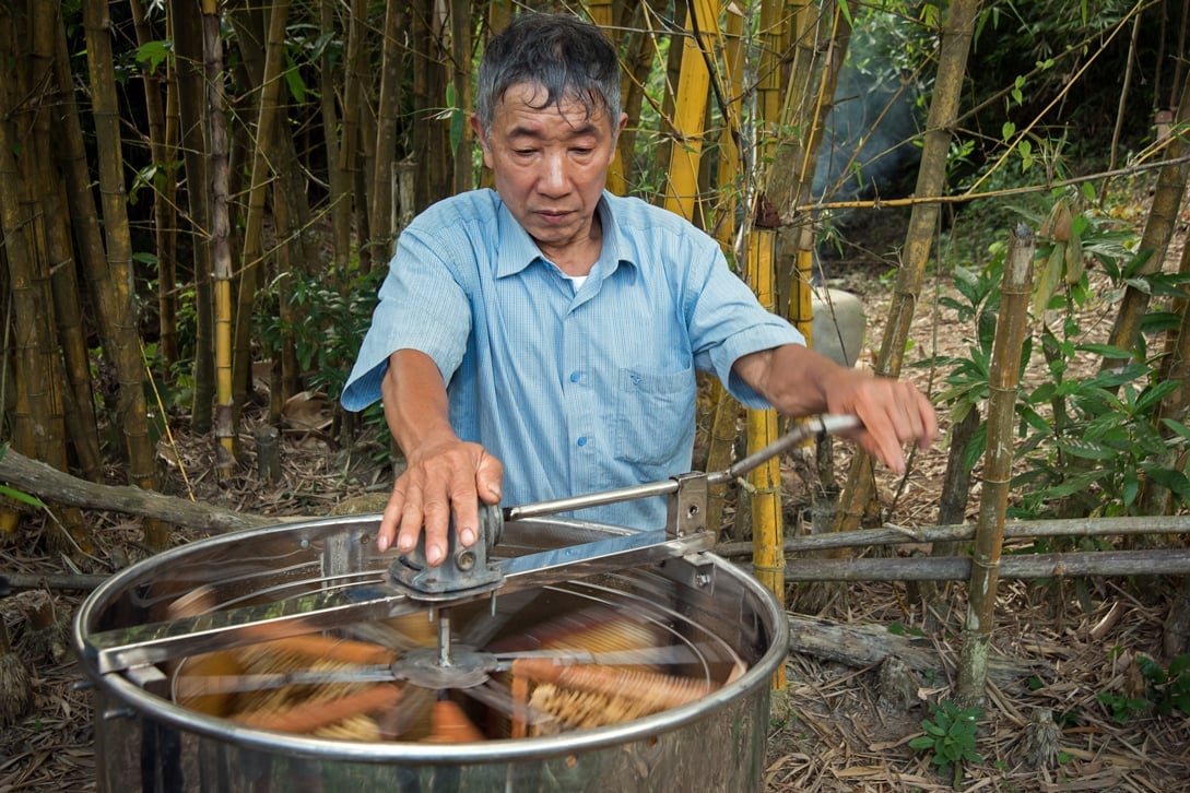 Ông Nguyễn Văn Sơn chăm sóc các tổ ong ở miền núi phía Bắc Việt Nam. Ảnh: FAO.