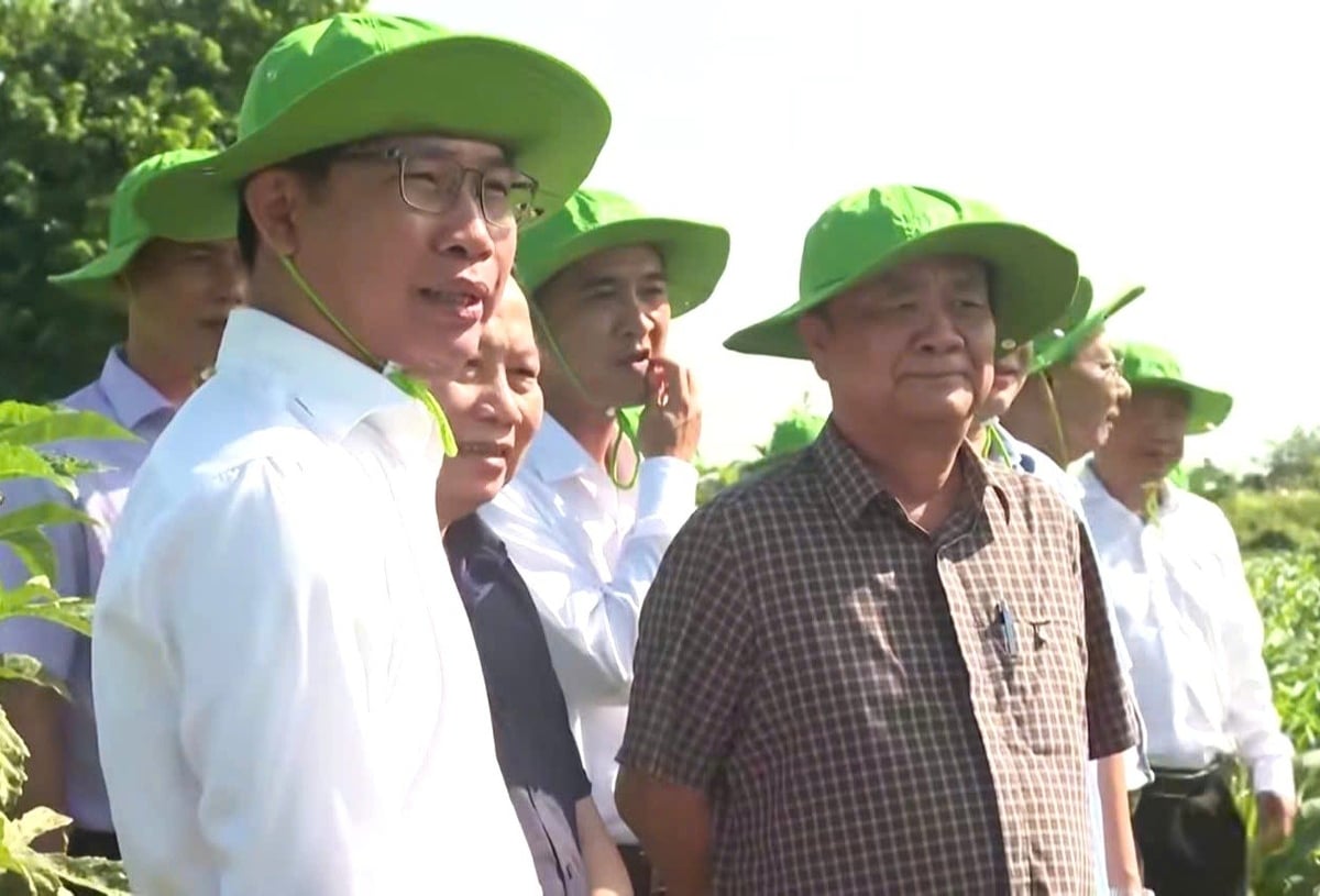 Phó Chủ tịch Quốc hội Lê Minh Hoan cùng đoàn công tác khảo sát vùng liên kết nguyên liệu của Antesco, một trong những doanh nghiệp hàng đầu trong xây dựng hệ sinh thái 'nông nghiệp cộng sinh' tại An Giang. Ảnh: Trung Chánh. Phó Chủ tịch Quốc hội Lê Minh Hoan cùng đoàn công tác khảo sát vùng liên kết nguyên liệu của Antesco, một trong những doanh nghiệp hàng đầu trong xây dựng hệ sinh thái 'nông nghiệp cộng sinh' tại An Giang. Ảnh: Trung Chánh.