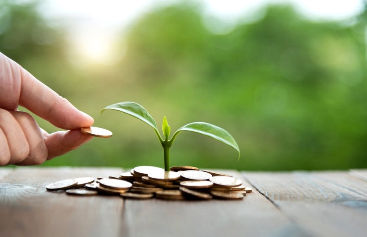 EU đang xây dựng lộ trình tín chỉ thiên nhiên để thúc đẩy các hành động tích cực với thiên nhiên, huy động nguồn vốn cho dự án phục hồi môi trường trong và ngoài khối. Ảnh: iStock. EU đang xây dựng lộ trình tín chỉ thiên nhiên để thúc đẩy các hành động tích cực với thiên nhiên, huy động nguồn vốn cho dự án phục hồi môi trường trong và ngoài khối. Ảnh: iStock.