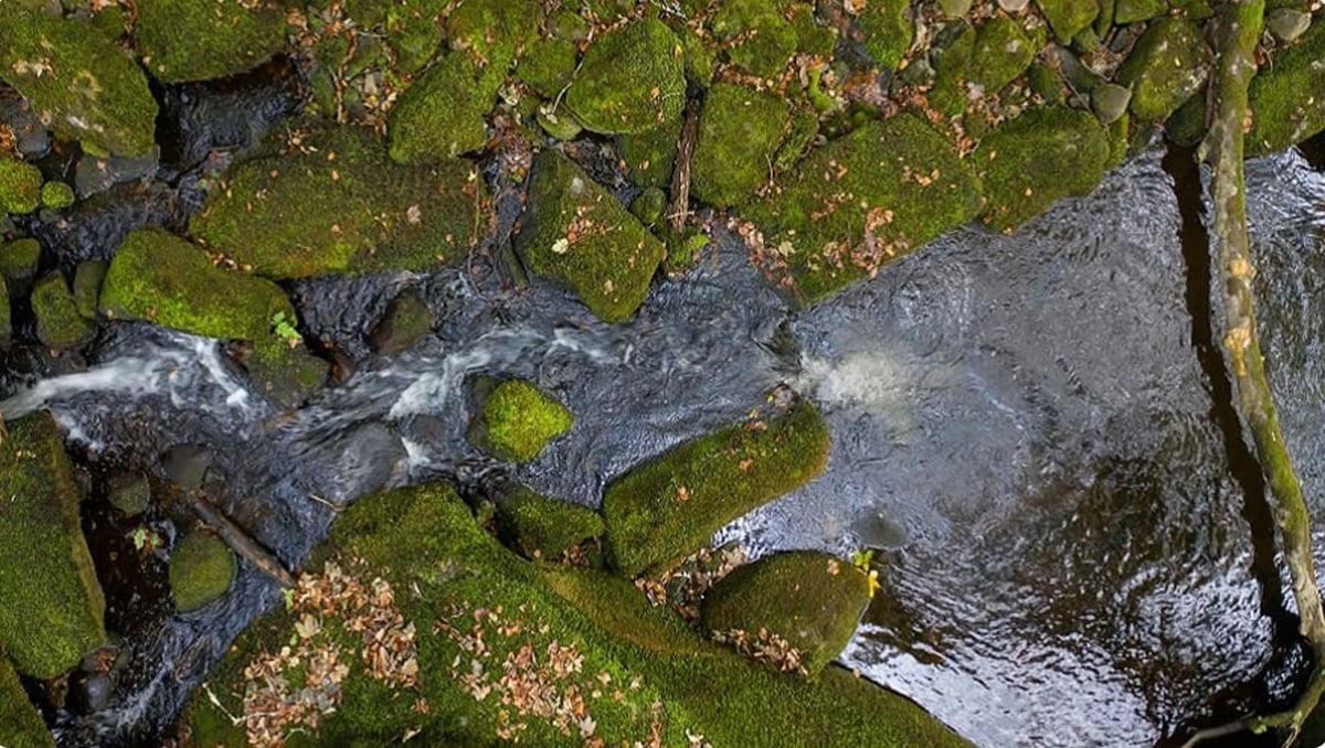 South West Water chi 2,7 triệu USD hỗ trợ các sáng kiến cộng đồng vì môi trường tại khu vực tây nam nước Anh, bao gồm Cornwall, Devon và các vùng lân cận. Ảnh: South West Water. South West Water chi 2,7 triệu USD hỗ trợ các sáng kiến cộng đồng vì môi trường tại khu vực tây nam nước Anh, bao gồm Cornwall, Devon và các vùng lân cận. Ảnh: South West Water.