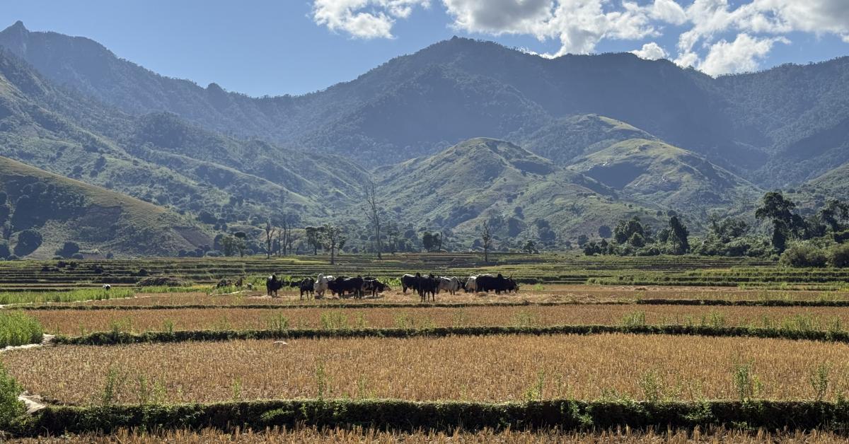 UNESCO đưa Rừng mưa Atsinanana ra khỏi danh sách di sản bị đe dọa. Ảnh: UNESCO. UNESCO đưa Rừng mưa Atsinanana ra khỏi danh sách di sản bị đe dọa. Ảnh: UNESCO.
