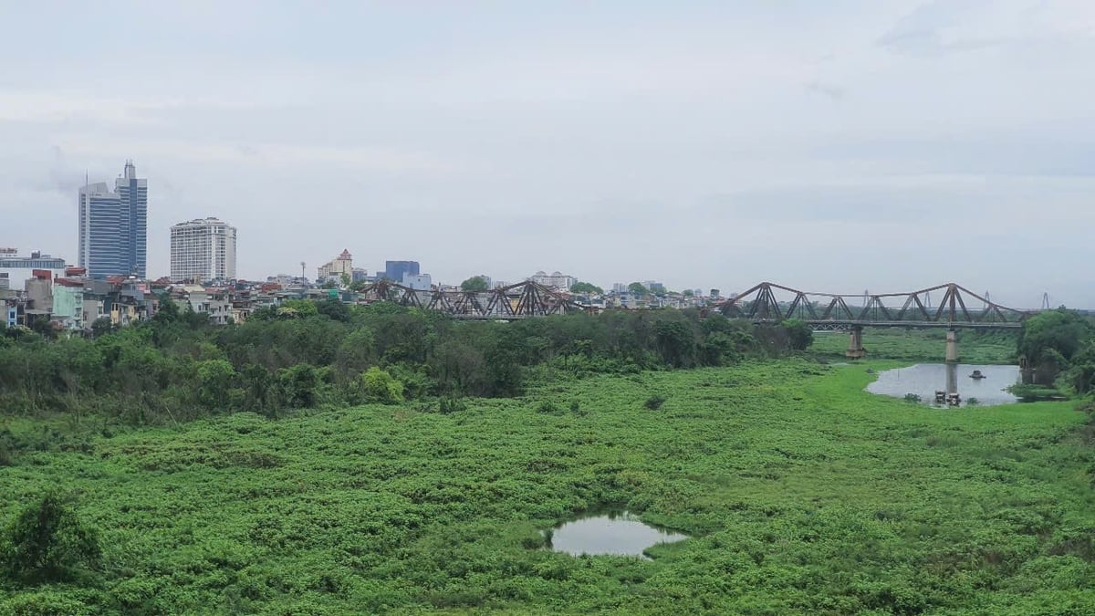 Khu vực ven sông Hồng, đoạn qua Hà Nội còn nhiều đất đai có thể kết hợp sản xuất nông nghiệp và phục vụ du lịch sinh thái. Ảnh: Xuân Vũ.