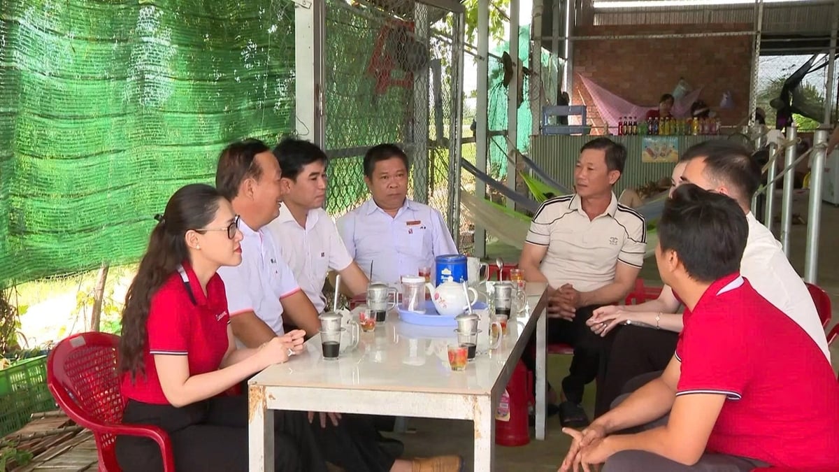 Văn phòng đại diện Agribank Tây Nam Bộ phối hợp với Agribank chi nhánh Bắc Long An đến thăm các mô hình sản xuất nông nghiệp hiệu quả nhờ nguồn vốn tín dụng từ Agribank trên địa bàn. Ảnh: Minh Khương. Văn phòng đại diện Agribank Tây Nam Bộ phối hợp với Agribank chi nhánh Bắc Long An đến thăm các mô hình sản xuất nông nghiệp hiệu quả nhờ nguồn vốn tín dụng từ Agribank trên địa bàn. Ảnh: Minh Khương.