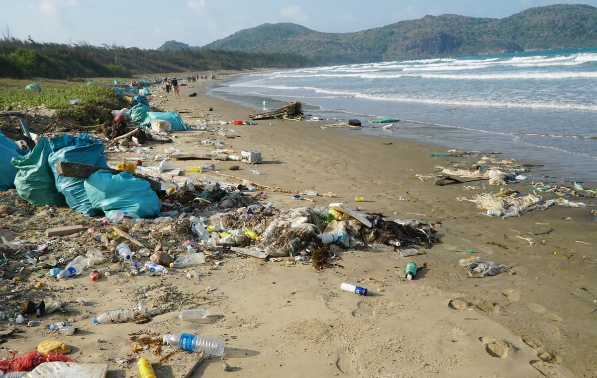 Theo WWF, tại Côn Đảo, mỗi năm có khoảng 32,4 tấn rác thải được tống trôi ra đại dương. Ảnh: Lê Bình. Theo WWF, tại Côn Đảo, mỗi năm có khoảng 32,4 tấn rác thải được tống trôi ra đại dương. Ảnh: Lê Bình.