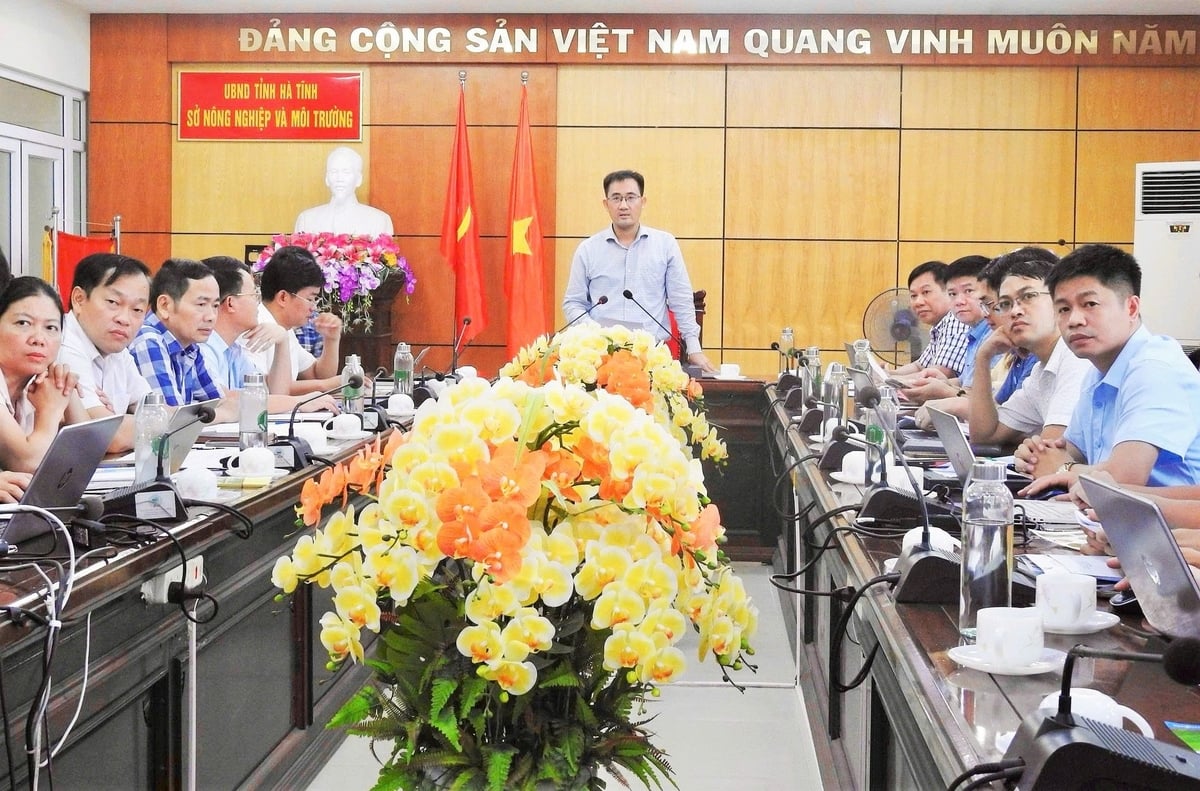 Sở Nông nghiệp và Môi trường Hà Tĩnh họp trực tuyến với 69 đơn vị cấp xã triển khai các giải pháp cấp bách phòng trừ sâu bệnh hại cây trồng vụ hè thu. Ảnh: Thanh Nga. Sở Nông nghiệp và Môi trường Hà Tĩnh họp trực tuyến với 69 đơn vị cấp xã triển khai các giải pháp cấp bách phòng trừ sâu bệnh hại cây trồng vụ hè thu. Ảnh: Thanh Nga.