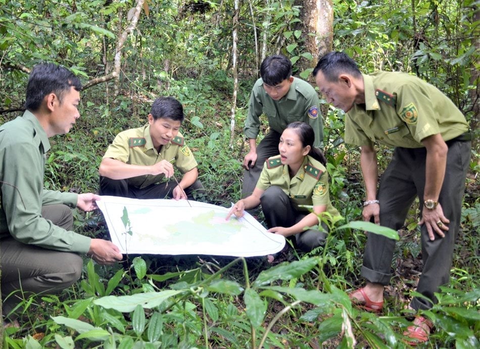 Cán bộ Khu DTTN Mường Nhé kiểm tra tình hình diễn biến rừng. Ảnh: Hoàng Châu. Cán bộ Khu DTTN Mường Nhé kiểm tra tình hình diễn biến rừng. Ảnh: Hoàng Châu.
