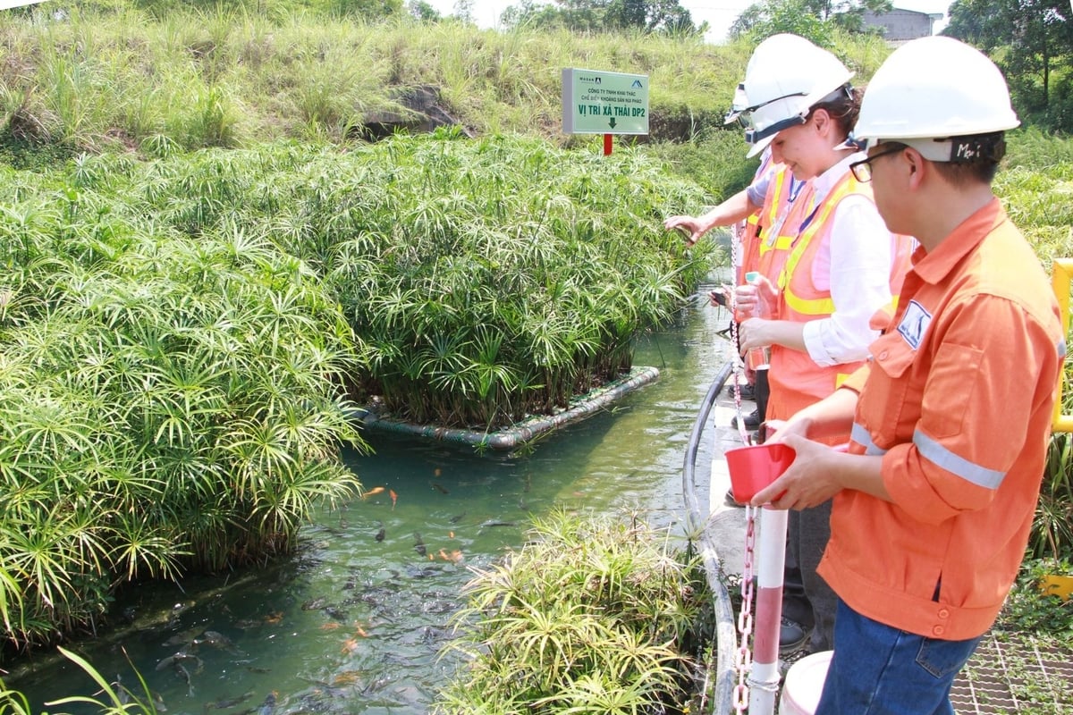 Khu vực bảo vệ môi trường tại Masan High-Tech Materials. Ảnh: MS. Khu vực bảo vệ môi trường tại Masan High-Tech Materials. Ảnh: MS.