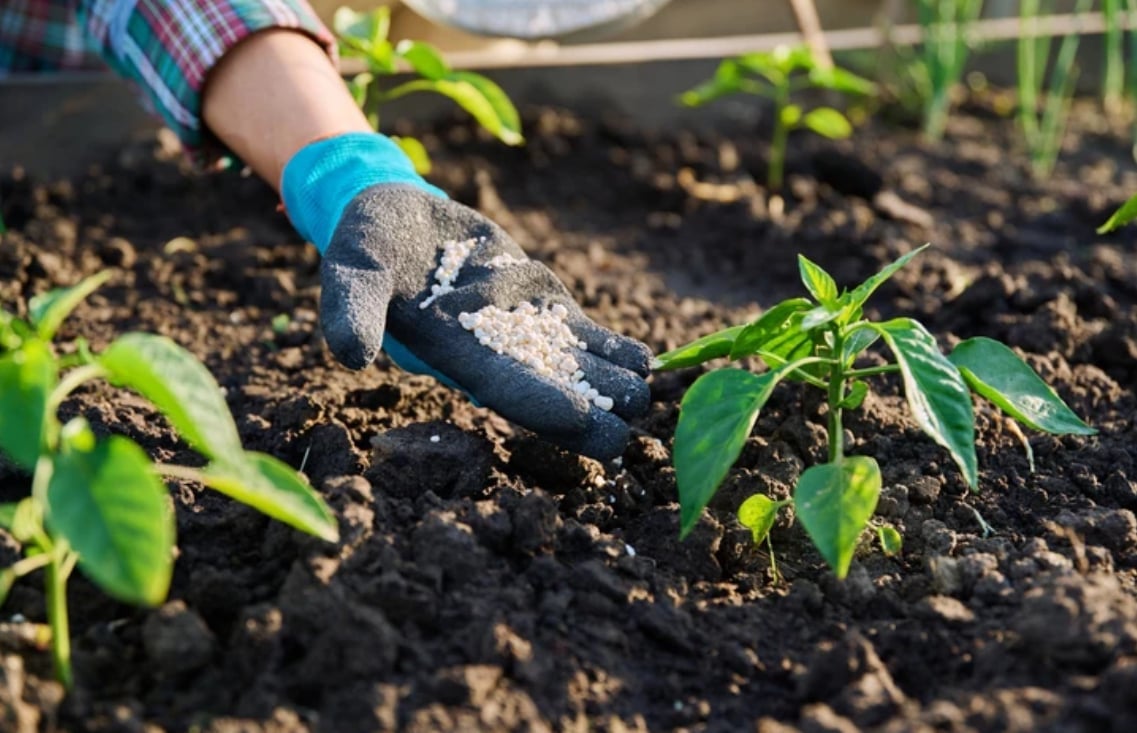 Trade policies and sanctions are playing an increasingly significant role in reshaping global fertilizer markets. Photo: Shutterstock.com.