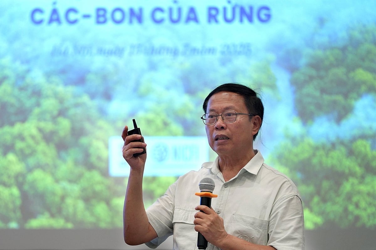 Ông Ngãi hy vọng, Nghị định khi ban hành sẽ giúp các chủ rừng chủ động tham gia thị trường carbon. Ảnh: Bảo Thắng. Ông Ngãi hy vọng, Nghị định khi ban hành sẽ giúp các chủ rừng chủ động tham gia thị trường carbon. Ảnh: Bảo Thắng.