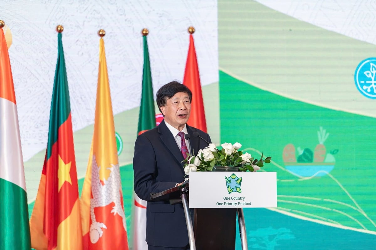 TS Jingyuan Xia, Cố vấn đặc biệt của Tổng Giám đốc FAO chia sẻ về thực trạng, thành tựu và tương lai chương trình OCOP toàn cầu. Ảnh: Trần Văn.