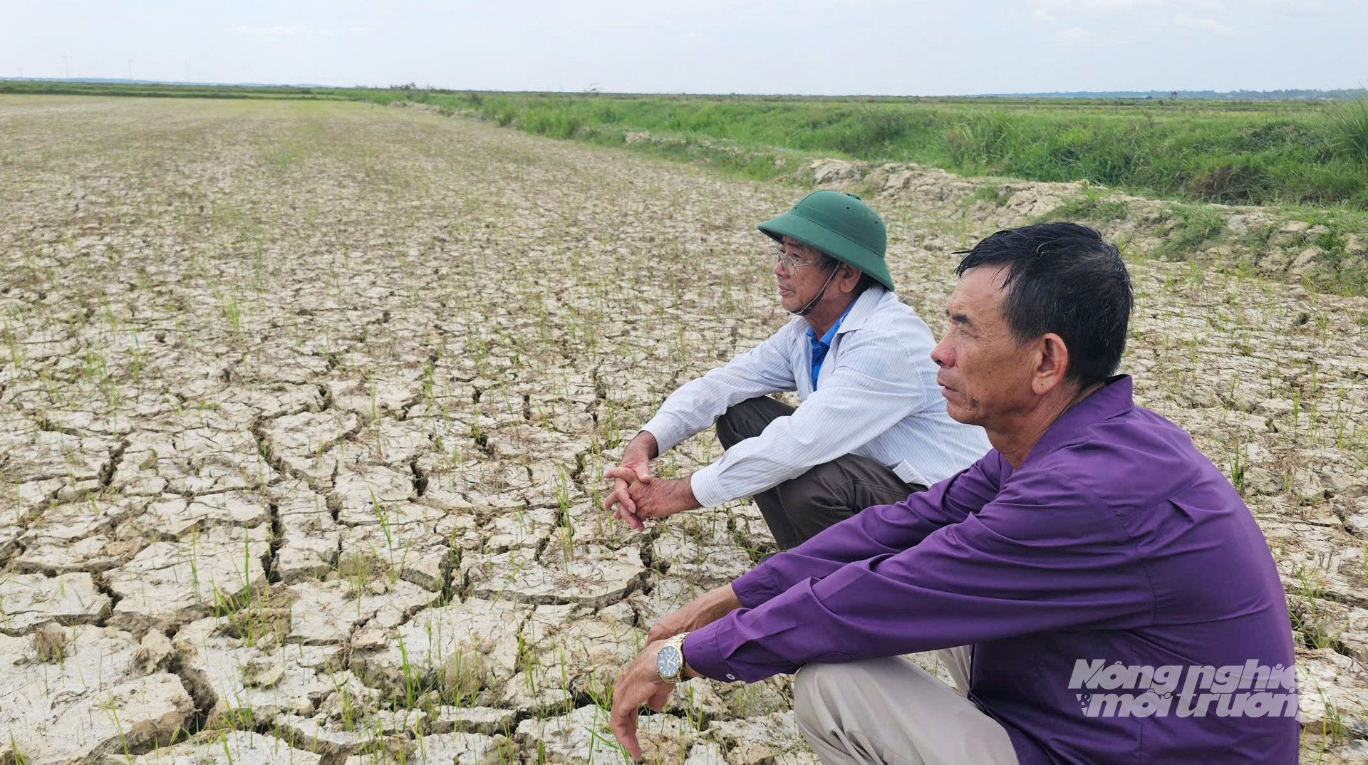 Lãnh đạo HTX Hoành Vinh ngồi buồn trên cánh đồng lớn phải bỏ trắng trong vụ hè thu. Ảnh: T. Đức. Lãnh đạo HTX Hoành Vinh ngồi buồn trên cánh đồng lớn phải bỏ trắng trong vụ hè thu. Ảnh: T. Đức.