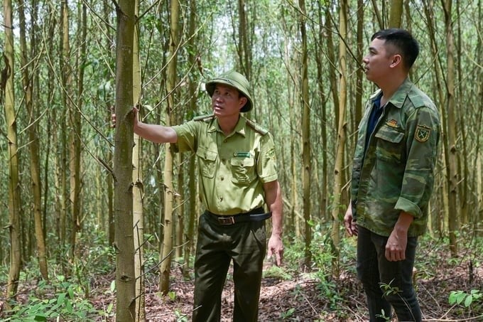 Staff from the Luc Ngan Forest Protection Station patrols the local forest area. Photo: Tung Dinh.