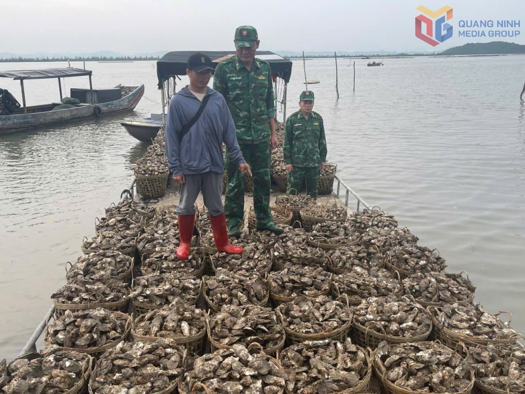 Lý Văn Xuân cùng chiếc bè chở 4 tấn hàu trái phép từ Trung Quốc về Việt Nam. Ảnh: QMG. Lý Văn Xuân cùng chiếc bè chở 4 tấn hàu trái phép từ Trung Quốc về Việt Nam. Ảnh: QMG.