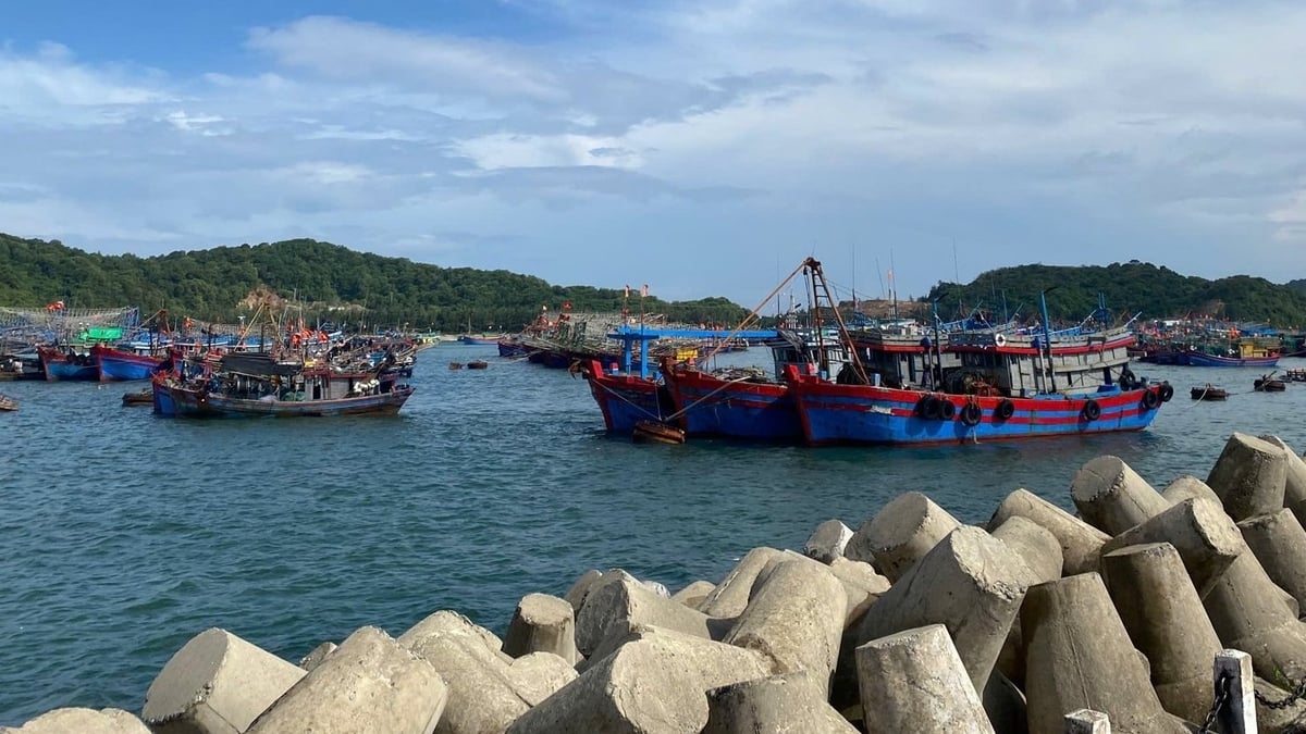 Khu neo đậu tránh trú bão cho tàu cá tại Đặc khu Cô Tô, tỉnh Quảng Ninh. Ảnh: Nguyễn Thành. Khu neo đậu tránh trú bão cho tàu cá tại Đặc khu Cô Tô, tỉnh Quảng Ninh. Ảnh: Nguyễn Thành.
