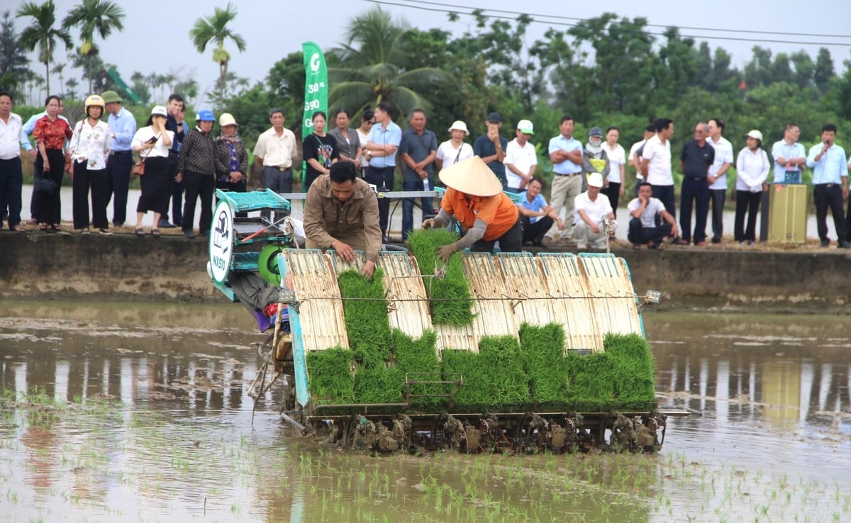 Các đại biểu xem trình diễn cấy bằng máy trên cánh đồng của gia đình anh Nguyễn Văn Hùng ở xã Việt Khê. Ảnh: Đinh Mười. Các đại biểu xem trình diễn cấy bằng máy trên cánh đồng của gia đình anh Nguyễn Văn Hùng ở xã Việt Khê. Ảnh: Đinh Mười.
