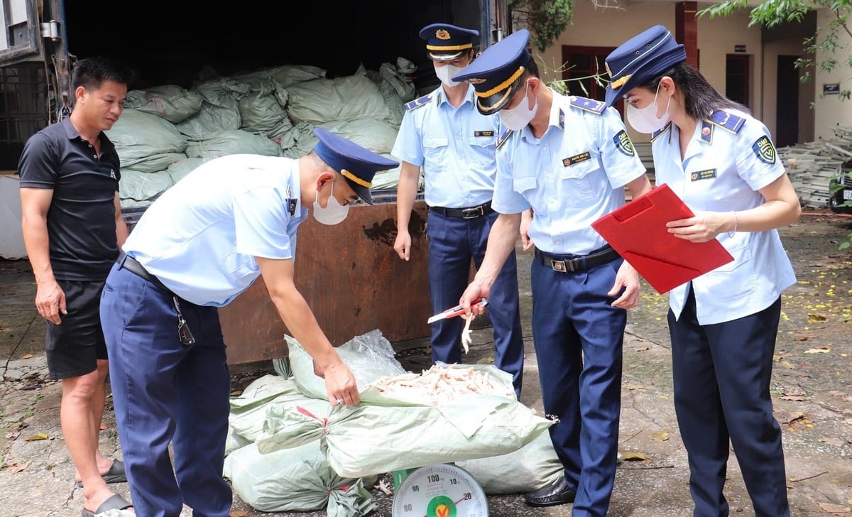 Toàn bộ số chân gà lực lượng chức năng đã thu giữ. Ảnh: Kim Chi. Toàn bộ số chân gà lực lượng chức năng đã thu giữ. Ảnh: Kim Chi.