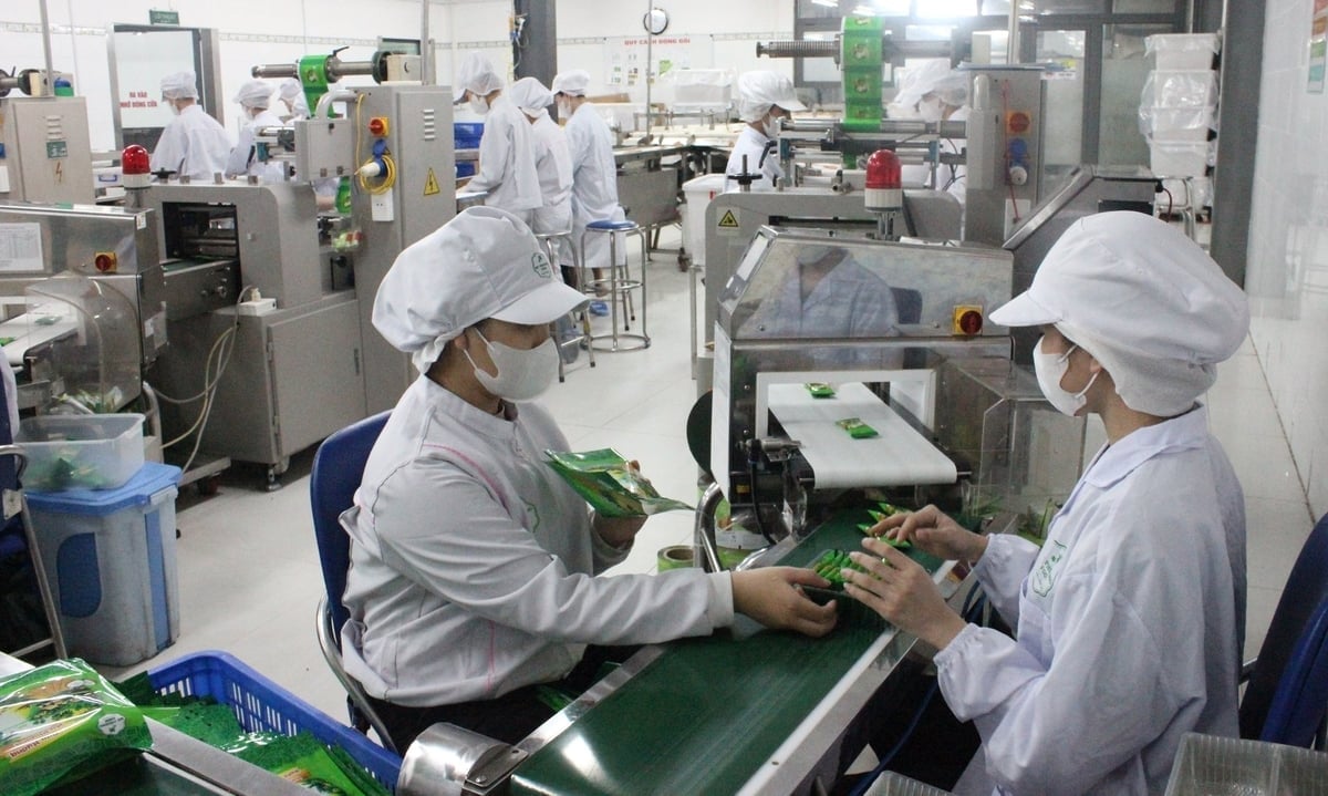 The closed-loop sesame coconut cake production line of My Phuong Food. Photo: Lan Anh.