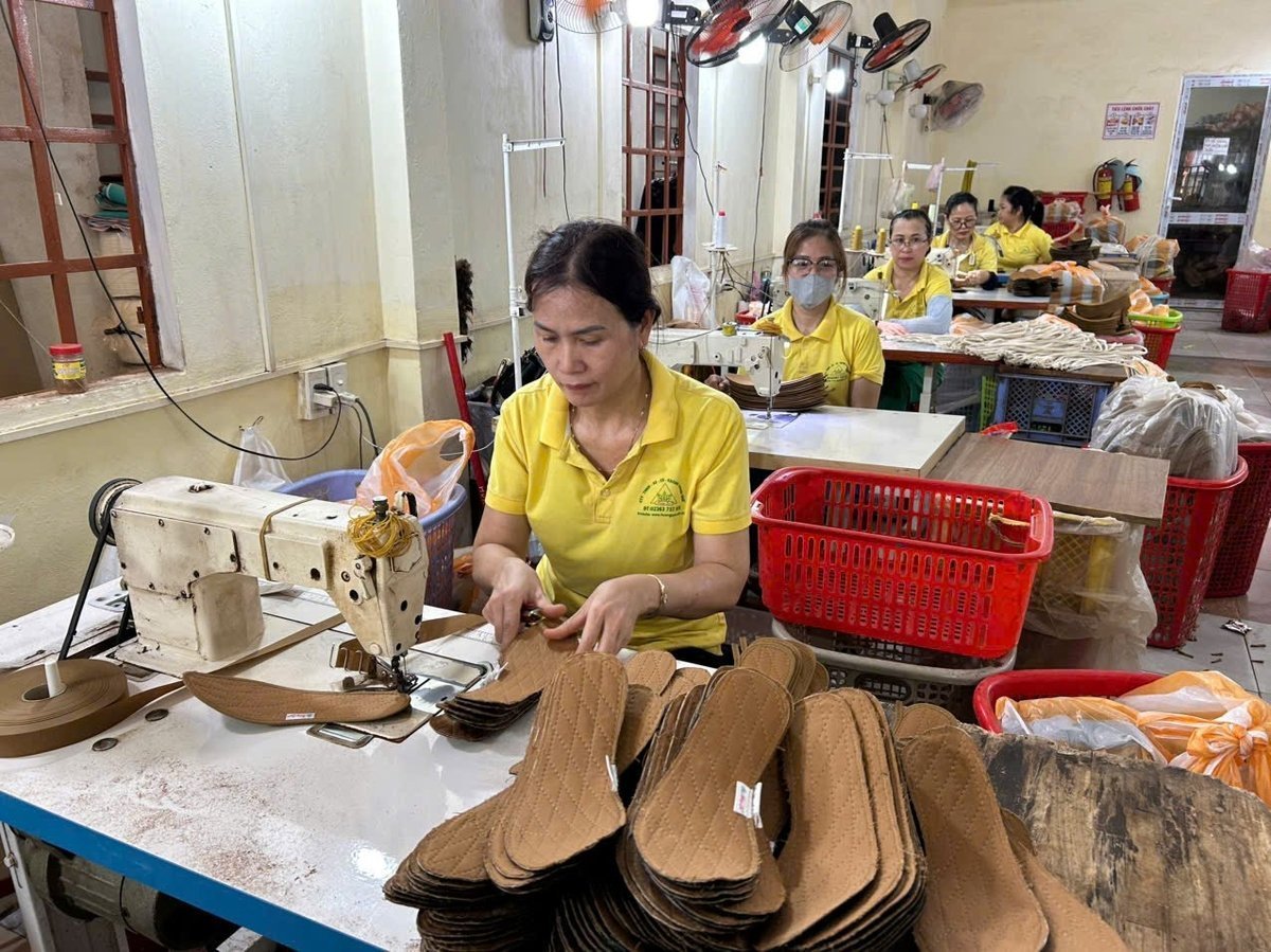 Huong Que’s shoe insole products have gradually conquered the international market. Photo: Lan Anh.