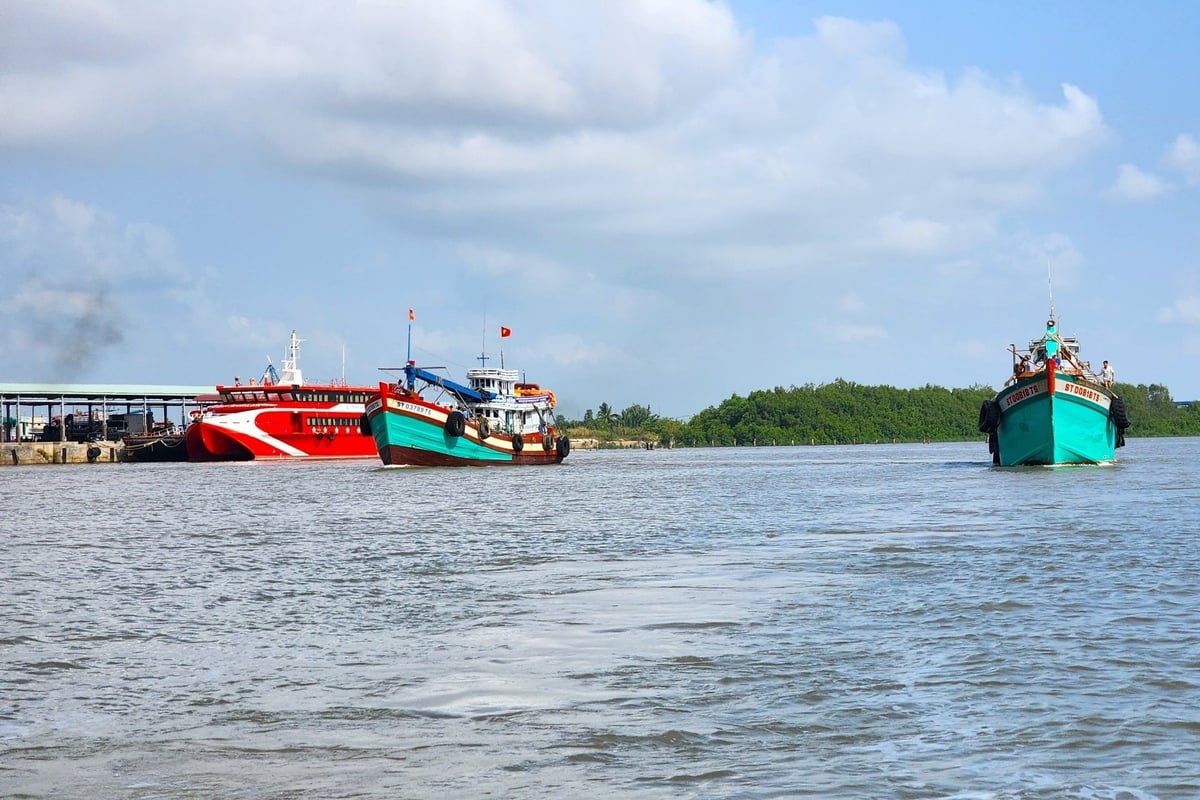 Sở Nông nghiệp và Môi trường TP Cần Thơ đã và đang triển khai các biện pháp quản lý chặt chẽ tàu cá, chống khai thác IUU. Ảnh: Kim Anh. Sở Nông nghiệp và Môi trường TP Cần Thơ đã và đang triển khai các biện pháp quản lý chặt chẽ tàu cá, chống khai thác IUU. Ảnh: Kim Anh.