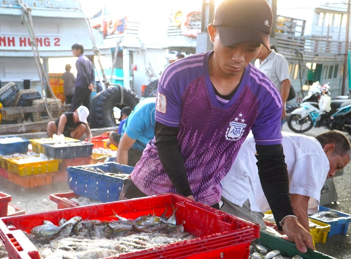 Lũy kế từ đầu năm 2025 đến nay, Cảng cá Trần Đề (xã Trần Đề, TP Cần Thơ) đã tiếp nhận 1.147 lượt tàu lên hàng thủy sản, sản lượng thủy sản đạt gần 15.500 tấn. Ảnh: Kim Anh. Lũy kế từ đầu năm 2025 đến nay, Cảng cá Trần Đề (xã Trần Đề, TP Cần Thơ) đã tiếp nhận 1.147 lượt tàu lên hàng thủy sản, sản lượng thủy sản đạt gần 15.500 tấn. Ảnh: Kim Anh.