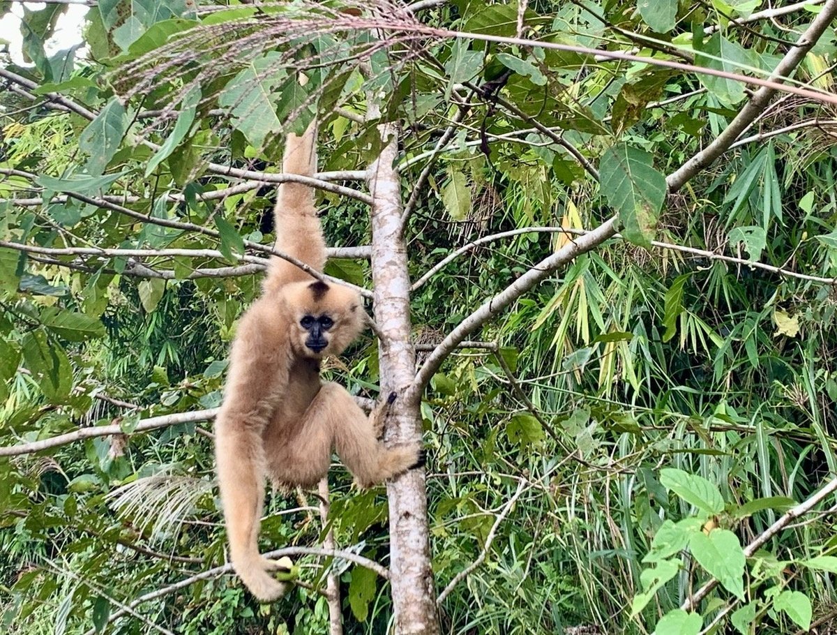 Ta Dung National Park always focuses on biodiversity conservation.