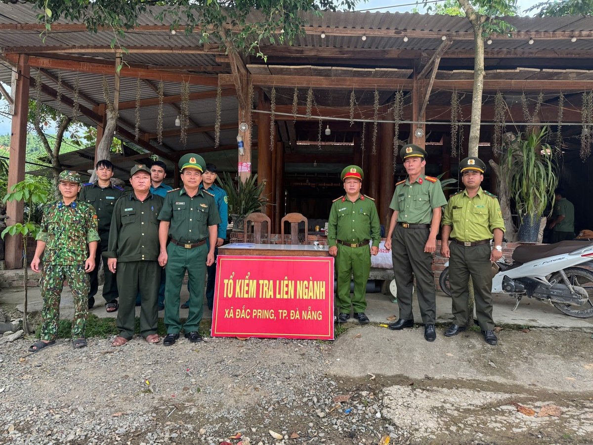 Lực lượng chức năng TP Đà Nẵng thành lập tổ chuyên ngành ở các xã để tăng cường công tác bảo vệ rừng trong mùa khai thác hạt ươi. Ảnh: L.K. Lực lượng chức năng TP Đà Nẵng thành lập tổ chuyên ngành ở các xã để tăng cường công tác bảo vệ rừng trong mùa khai thác hạt ươi. Ảnh: L.K.