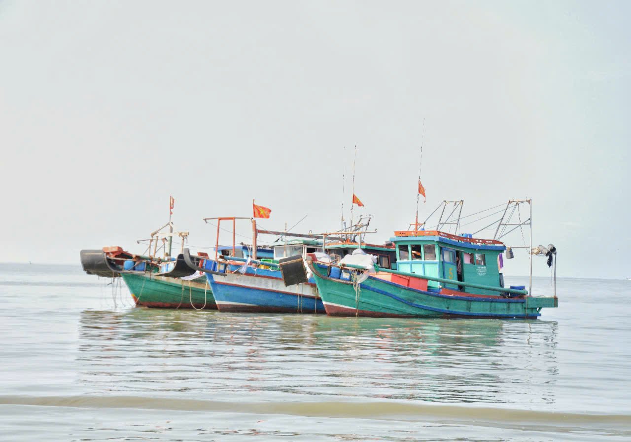 Qua rà soát, tỉnh An Giang có 277 tàu cá thuộc diện tàu cá 'mất tích' do đã hết hạn giấy chứng nhận an toàn kỹ thuật, không có hạn ngạch giấy phép khai thác thủy sản. Ảnh: Trung Chánh. Qua rà soát, tỉnh An Giang có 277 tàu cá thuộc diện tàu cá 'mất tích' do đã hết hạn giấy chứng nhận an toàn kỹ thuật, không có hạn ngạch giấy phép khai thác thủy sản. Ảnh: Trung Chánh.