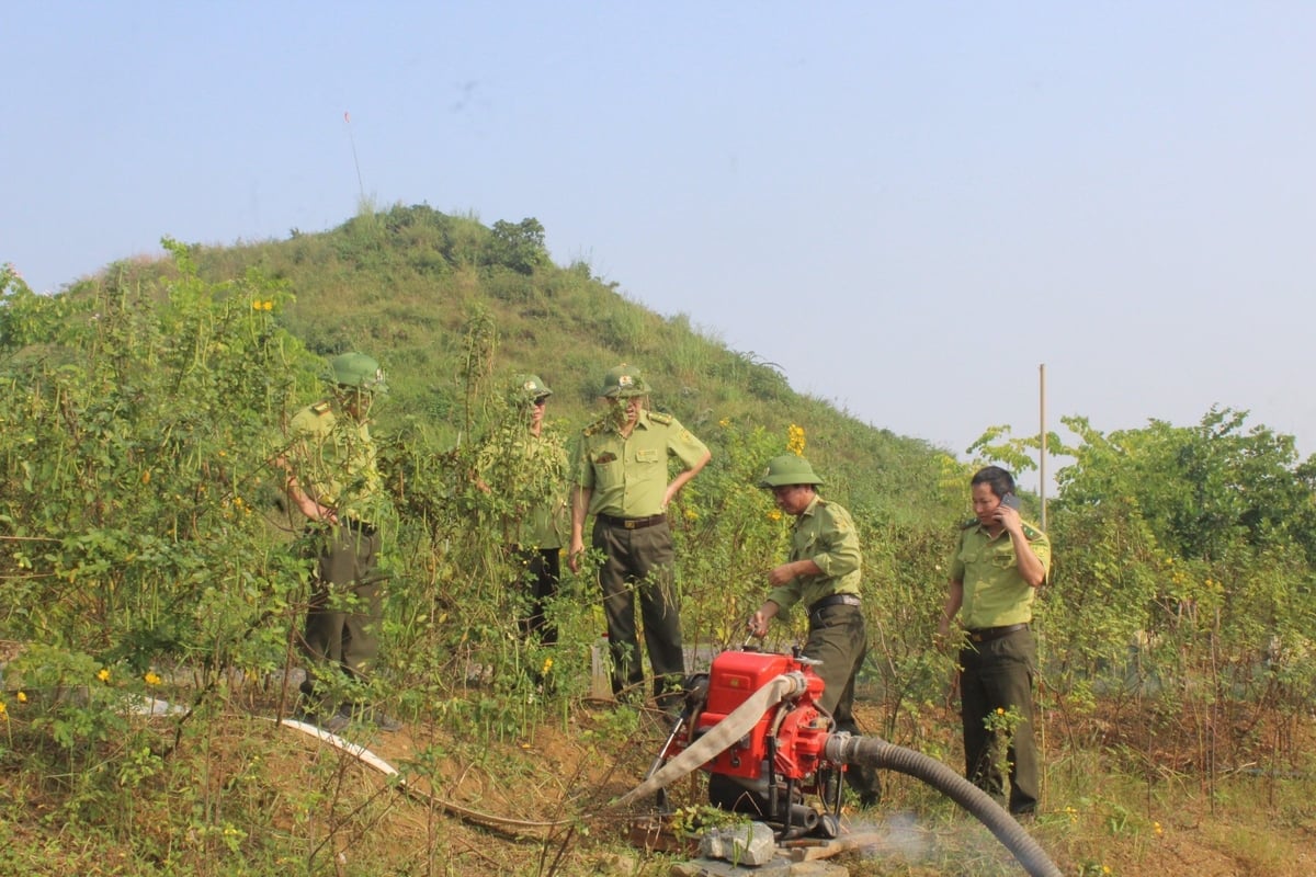 Nắng nóng gây nguy cơ cháy rừng ở nhiều địa phương. Ảnh: Lê Thảo. Nắng nóng gây nguy cơ cháy rừng ở nhiều địa phương. Ảnh: Lê Thảo.