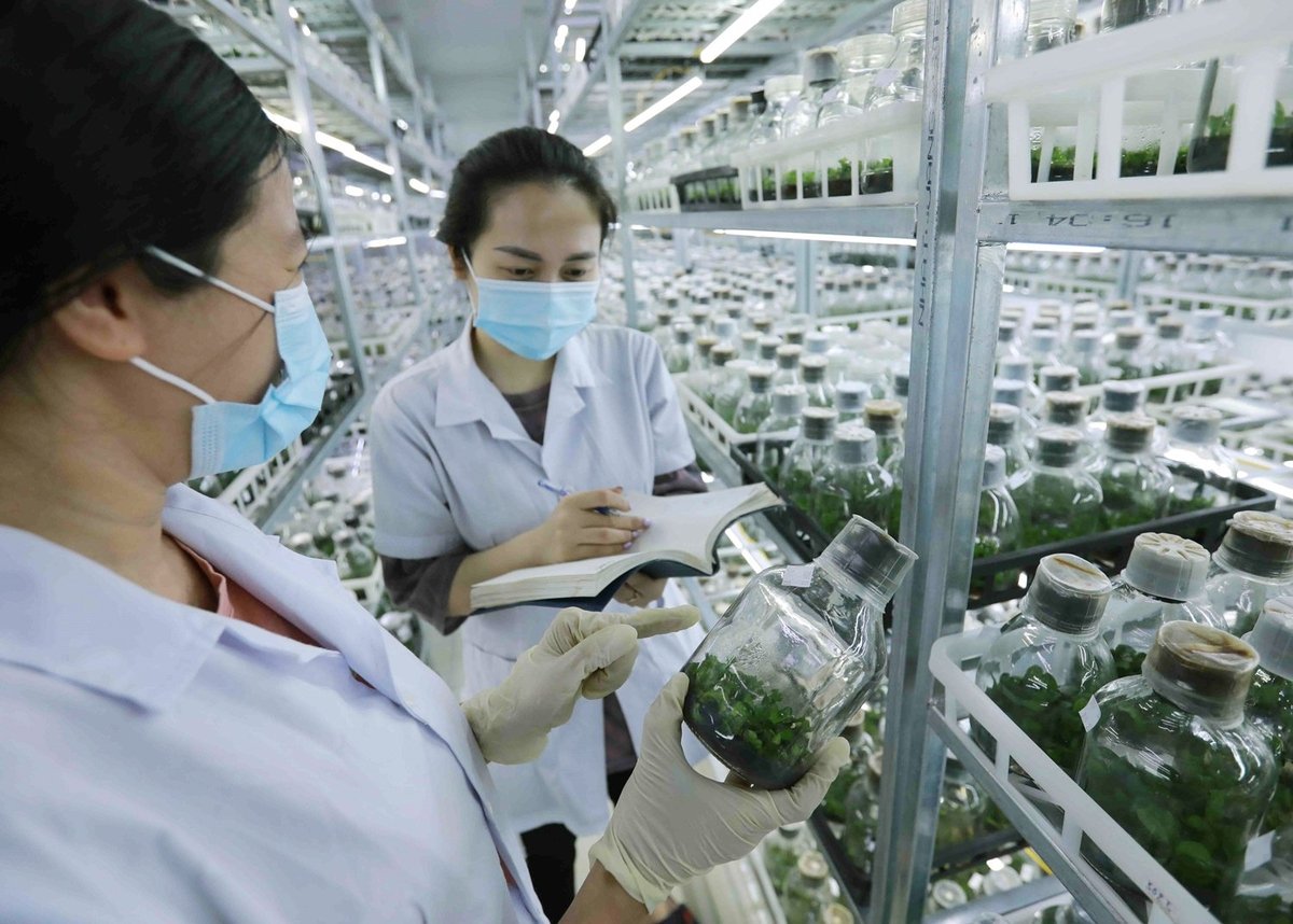Sử dụng đất để xây dựng phòng thí nghiệm, đất xây dựng cơ sở ươm tạo công nghệ và ươm tạo doanh nghiệp khoa học và công nghệ, đất xây dựng cơ sở thực nghiệm... sẽ được miễn, giảm tiền sử dụng đất từ 1/10. Ảnh: TTXVN. Sử dụng đất để xây dựng phòng thí nghiệm, đất xây dựng cơ sở ươm tạo công nghệ và ươm tạo doanh nghiệp khoa học và công nghệ, đất xây dựng cơ sở thực nghiệm... sẽ được miễn, giảm tiền sử dụng đất từ 1/10. Ảnh: TTXVN.