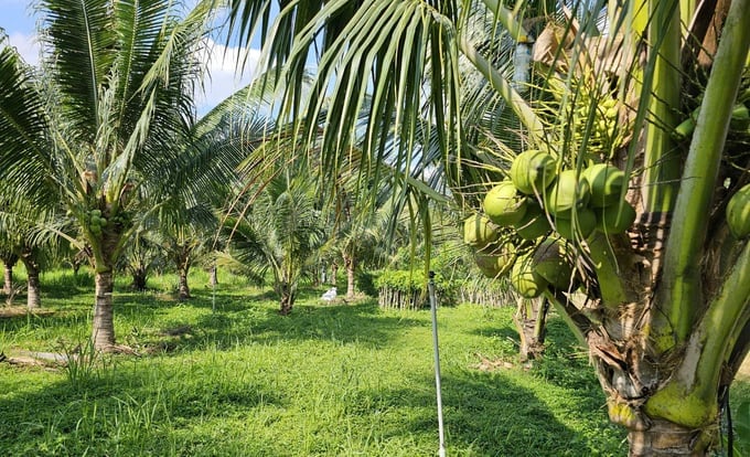 Nhập chú thích ảnh