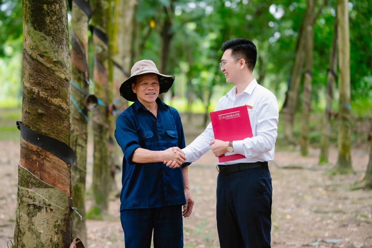 Agribank luôn đồng hành cùng khách hàng, góp phần nâng cao hiệu quả hoạt động và phát triển bền vững. Ảnh: Agribank. Agribank luôn đồng hành cùng khách hàng, góp phần nâng cao hiệu quả hoạt động và phát triển bền vững. Ảnh: Agribank.