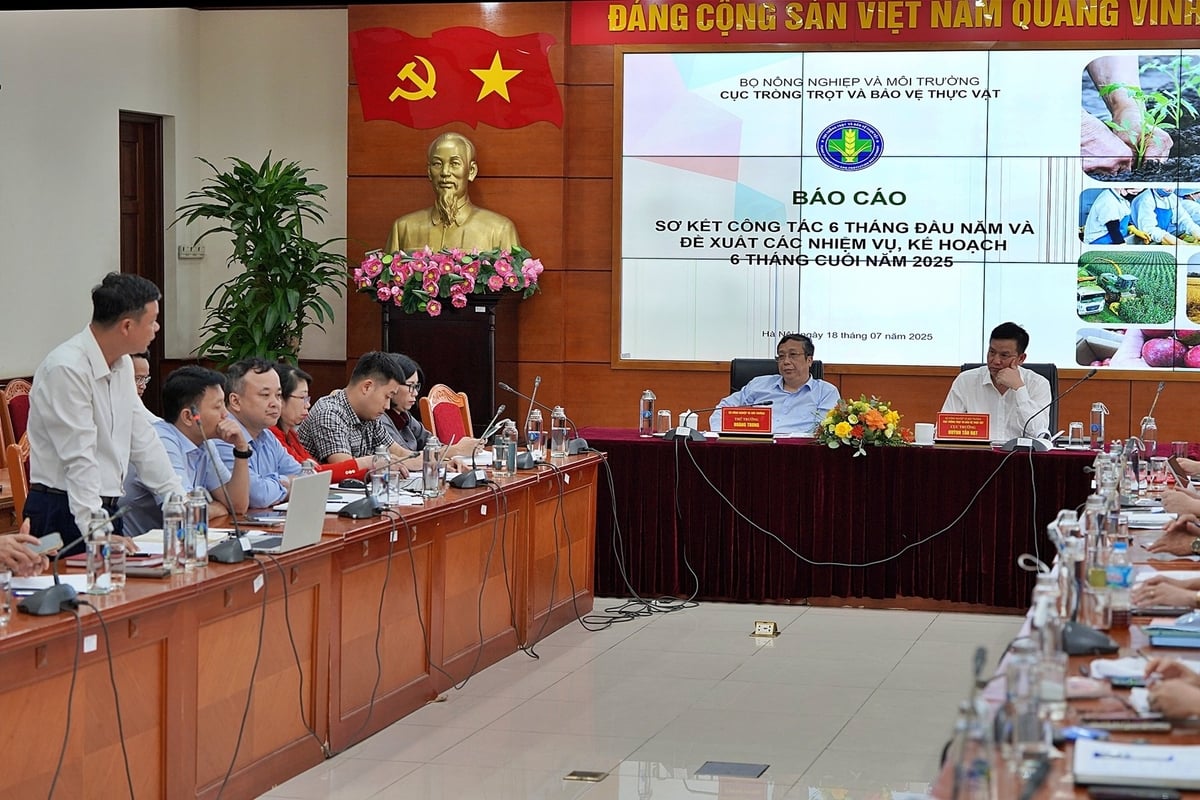 Đại diện các đơn vị trực thuộc Cục Trồng trọt và Bảo vệ thực vật tham luận tại hội nghị. Ảnh: Bảo Thắng.