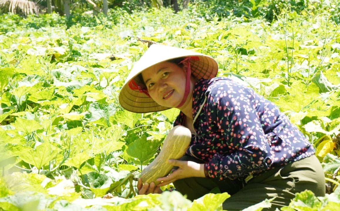 Chị Hoan sử dụng phân bón hữu cơ để chăm sóc cây trồng. Ảnh: Quốc Toản.