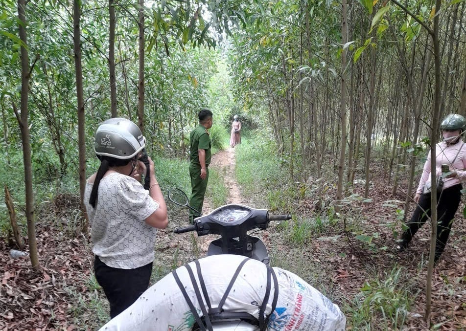 Một trường hợp vứt xác lợn ra môi trường bị phát hiện và xử lý. Ảnh: Công an Quảng Ngãi cung cấp. Một trường hợp vứt xác lợn ra môi trường bị phát hiện và xử lý. Ảnh: Công an Quảng Ngãi cung cấp.