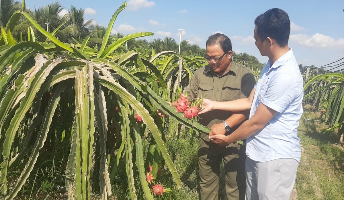 Đồng Tháp hướng đến mục tiêu xây dựng nền nông nghiệp bền vững. Ảnh: Thanh Bạch. Đồng Tháp hướng đến mục tiêu xây dựng nền nông nghiệp bền vững. Ảnh: Thanh Bạch.