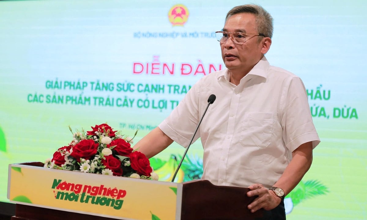 Ông Nguyễn Như Cường: Đến nay chỉ có sầu riêng vươn lên thành sản phẩm trái cây duy nhất lọt vào nhóm xuất khẩu tỷ đô. Ảnh: Nguyễn Thủy. Ông Nguyễn Như Cường: Đến nay chỉ có sầu riêng vươn lên thành sản phẩm trái cây duy nhất lọt vào nhóm xuất khẩu tỷ đô. Ảnh: Nguyễn Thủy.