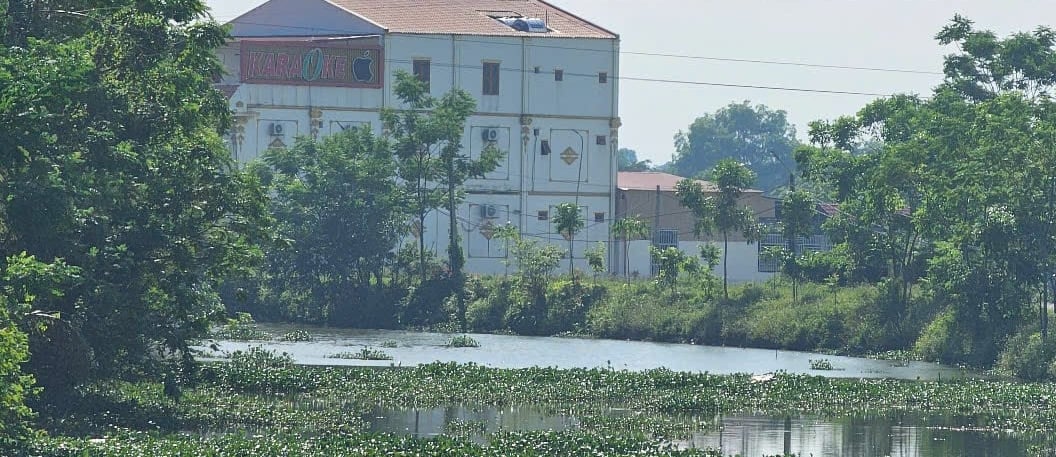 Bèo rác cản trở dòng chảy trên sông Mậu Khê, xã Thiệu Hóa. Ảnh: Quốc Toản.