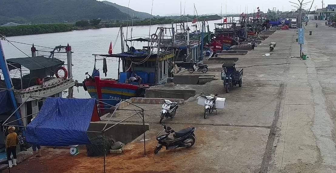 Nhiều tàu cá ở Thanh Hóa đã cập bến an toàn. Ảnh: Quốc Toản. Nhiều tàu cá ở Thanh Hóa đã cập bến an toàn. Ảnh: Quốc Toản.