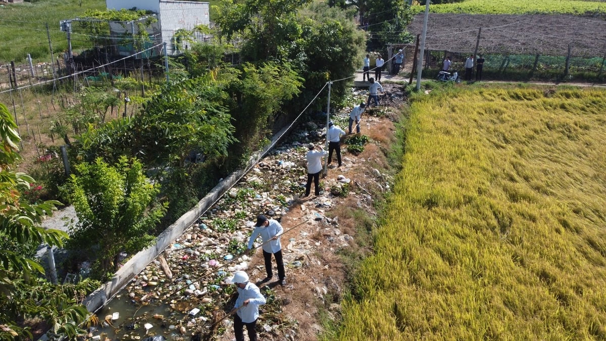Rác thải phủ kín đoạn kênh mương do Công ty TNHH MTV KTCTTL Ninh Thuận quản lý. Ảnh: Phương Chi. Rác thải phủ kín đoạn kênh mương do Công ty TNHH MTV KTCTTL Ninh Thuận quản lý. Ảnh: Phương Chi.