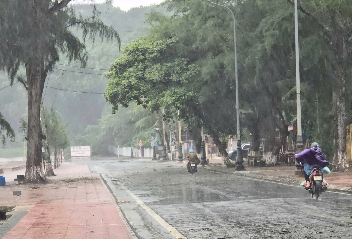 Tại Hải Phòng chiều 19/7 đã bắt đầu xuất hiện gió to và mưa lớn. Nhiều nơi người dân đã thu gom ô, bạt, cây cảnh trước nhà đề phòng thiệt hại khi bão đổ bộ. Ảnh: Đinh Mười.