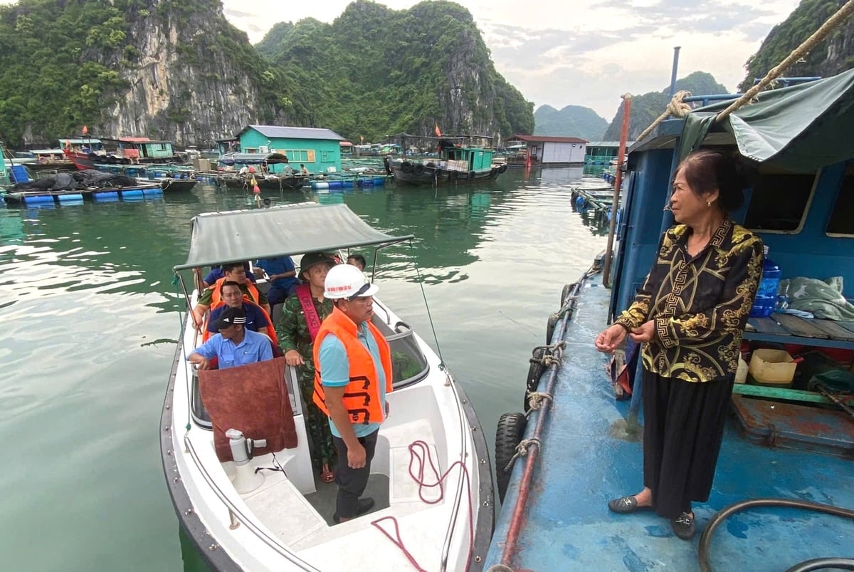 Các hộ dân nuôi cá lồng, bè trên biển, trên sông được thông tin, tuyên truyền để chủ động ứng phó cơn bão. hạn chế thiệt hại thấp nhất có thể. Ảnh: Đinh Mười. Các hộ dân nuôi cá lồng, bè trên biển, trên sông được thông tin, tuyên truyền để chủ động ứng phó cơn bão. hạn chế thiệt hại thấp nhất có thể. Ảnh: Đinh Mười.