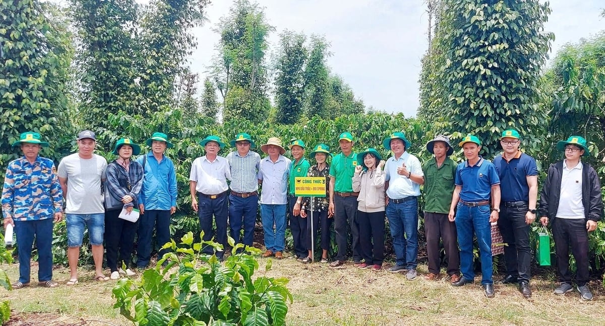 Trung tâm Khuyên nông tỉnh Đắk Lắk tích cực tổ chức mô hình trình diễn và các lớp tập huấn nâng cao kiến thức cho người dân trên địa bàn tỉnh. Ảnh: Tuấn Trần. Trung tâm Khuyên nông tỉnh Đắk Lắk tích cực tổ chức mô hình trình diễn và các lớp tập huấn nâng cao kiến thức cho người dân trên địa bàn tỉnh. Ảnh: Tuấn Trần.