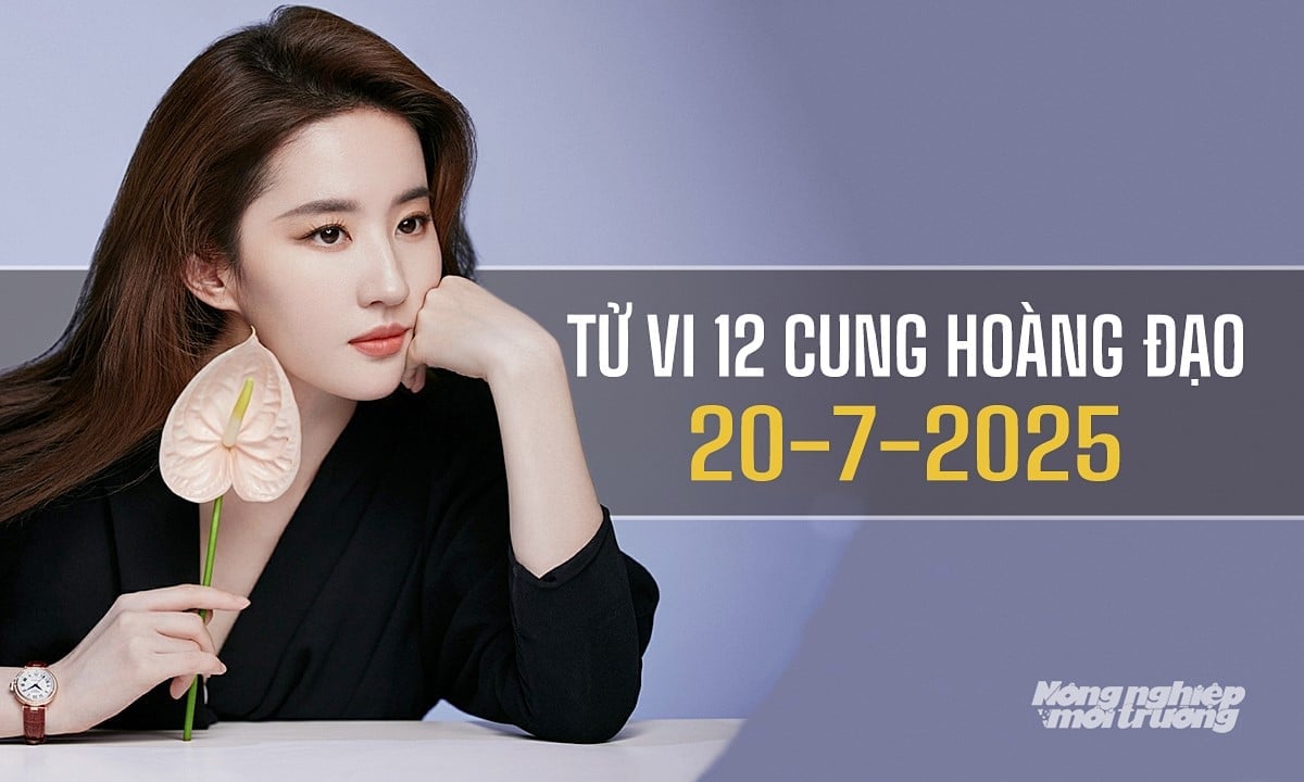 Xem tử vi hàng ngày 12 cung hoàng đạo hôm nay 20/7/2025