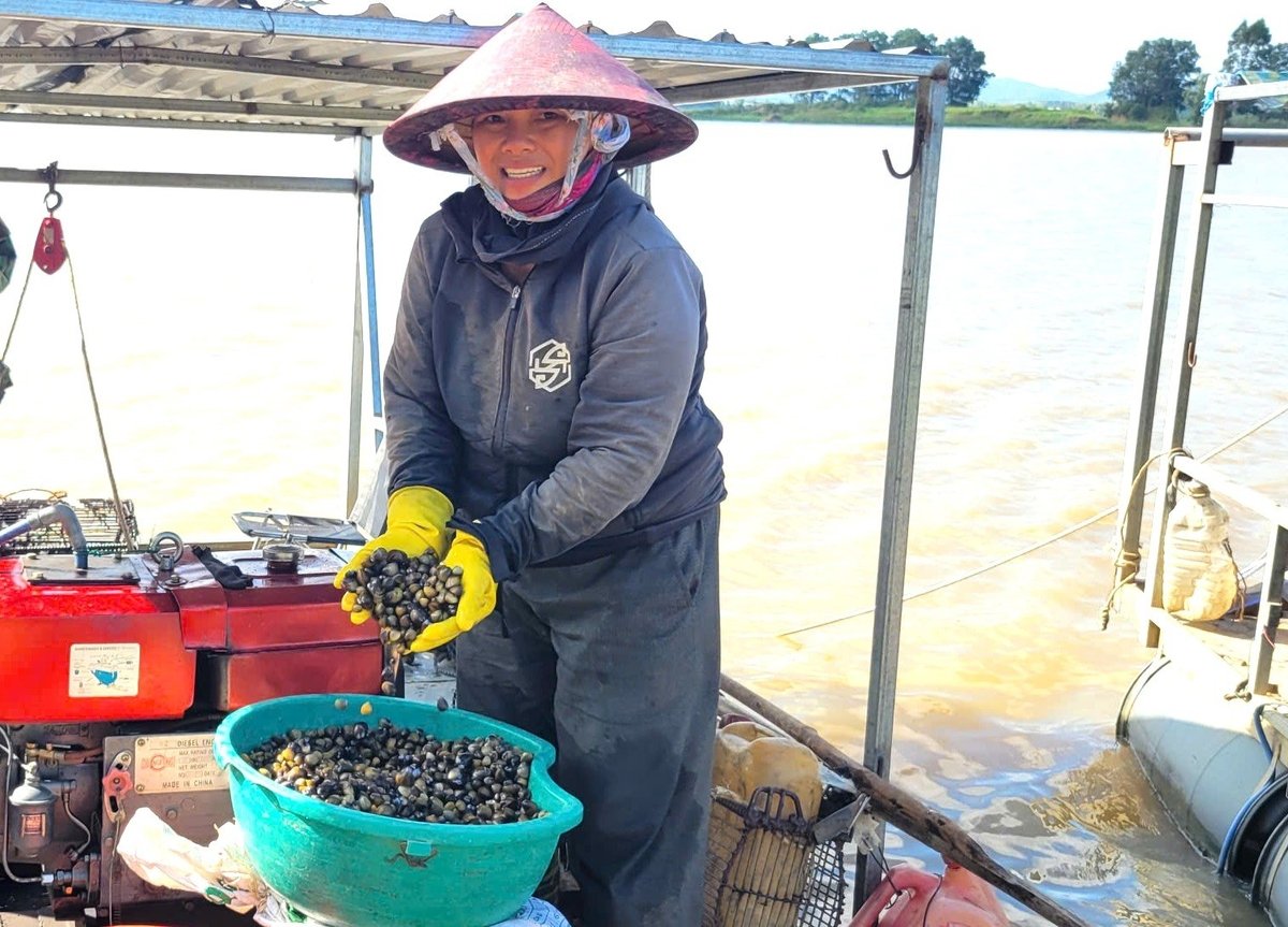 Nghề khai thác hến giúp người dân có nguồn thu nhập ổn định. Ảnh: Tuấn Anh.